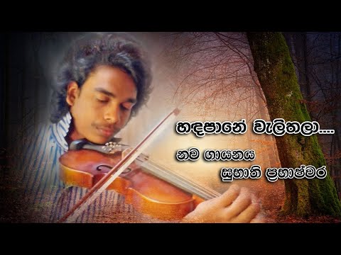 Handapane Wali Thala | Cover By Subhathi Prabhashwara (SP) | WD Amaradewa Songs