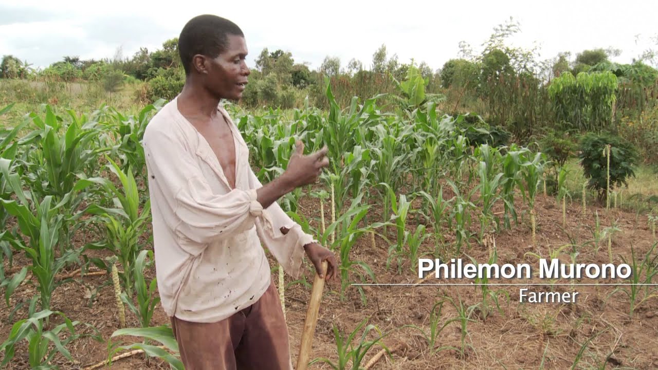 Climate-Smart Agriculture: Helping the World Produce More Food