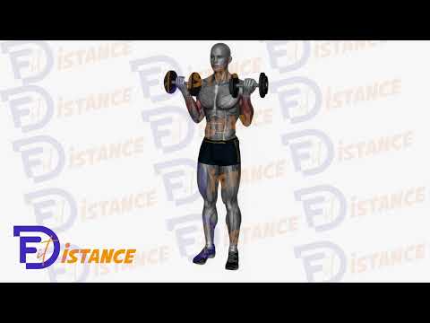 Curls simultanés Zotman avec haltères - Exercice Curls simultanés Zotman avec haltères en vidéo