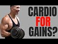Cardio Killing Your Gains