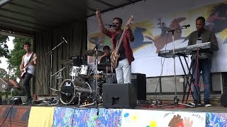 Festival Wereldwijd Loon op Zand 2019 - Langstraat TV