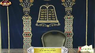 בית המדרש "תורת דוד" ¤ שידור חי ¤ ט"ו חשון תשפ"ו (6.11.2025) (מוסדות תורת דוד) - התמונה מוצגת ישירות מתוך אתר האינטרנט יוטיוב. זכויות היוצרים בתמונה שייכות ליוצרה. קישור קרדיט למקור התוכן נמצא בתוך דף הסרטון