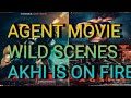 AGENT MOVIE MOST POPULAR ACTION SCENE AKHIL AKKINENI BEING WILD Entertainment Adda
