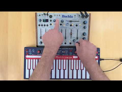 Video: Buchla Ziggy (2)