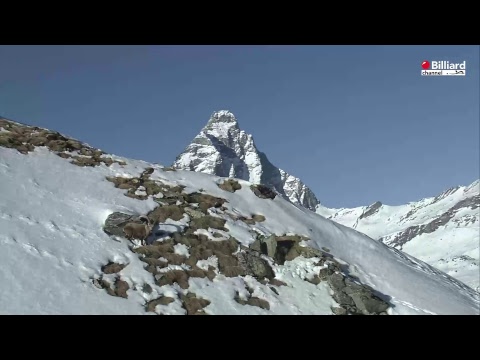 Pantisano Luigi VS Mauro Girolamo Enrico - 39° Gran Premio di Goriziana