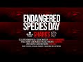 Endangered Species Week Feature Video: Sharks
