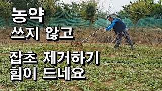 농약 쓰지 않고 잡초제거하기 힘드네요 150마력 트랙터 공포