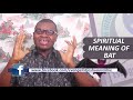 SPIRITUAL MEANING OF BATS -  Biblical Meaning Of Bats In Dreams