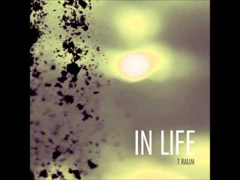 T Raum   In Life feat  Simple One Fux Remix   New Jhruza Records