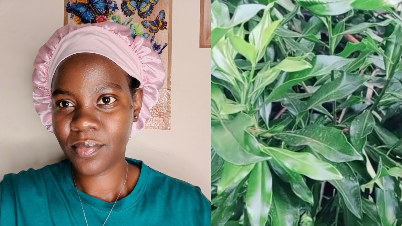 Edagala lyamanyi gekisajja lilino elilega omukira nozina emana nga embolo embolo tegwa@sengaFaith256