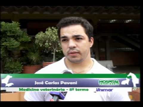 Saúde Animal: Fiscalização CRMV-SP (parte02)