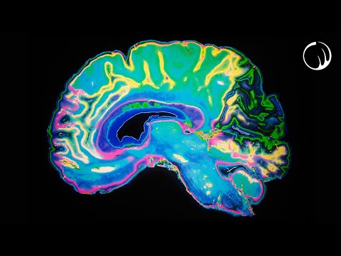 One of the Most Unsettling Phenomena of the Human Brain（One of the Most Unsettling Phenomena of the Human Brain）