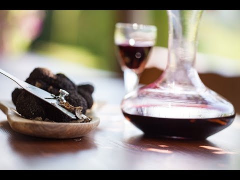 Trüffelsuche und Verköstigung bei Prodan Tartufi in Istrien