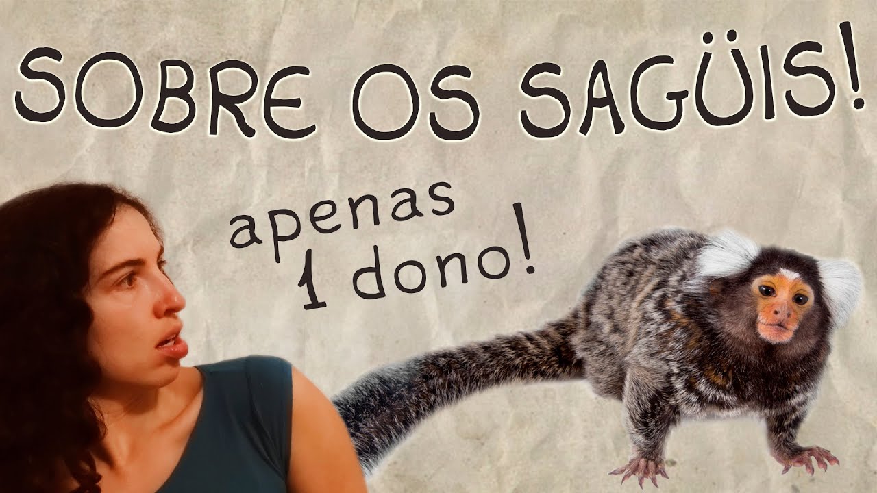 Watch Now Sobre o Sagüi! - Características Principais Sobre o Sagüi! - Características Principais
