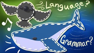 Bird and cetacean grammar, and series conclusion – Can Animals Grammar? #8