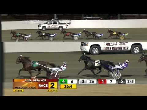 Meadowlands January 17, 2015 - Race 2 - Wake Up Peter