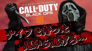 ［音量注意］恐怖のナイフ鬼ごっこ［BO4］