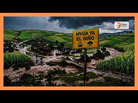 Wakulima wa mahindi Trans Nzoia wahofia hasara kutokana na mvua na uagizaji