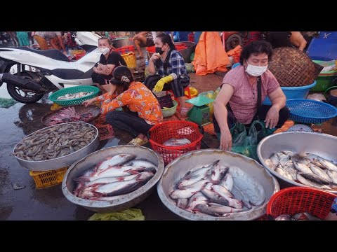Amazing Big Site Distributes Fish, SeaFood - Morning Fish Food Market in Morning @Prek Phnov Bridge