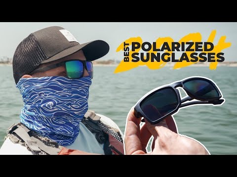 Watch This Before Buying POLARIZED Sunglasses in 2024