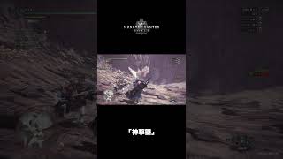 ｢神撃墜｣｜モンスターハンター : ワールド