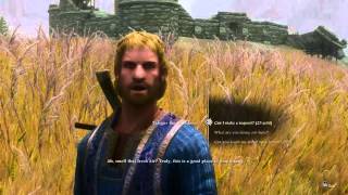 Skyrim mod testing full STEP, JKs, Legacy of the Dragonborn and Frostfall