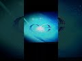 KCET Los Angeles Ident Long 2010
