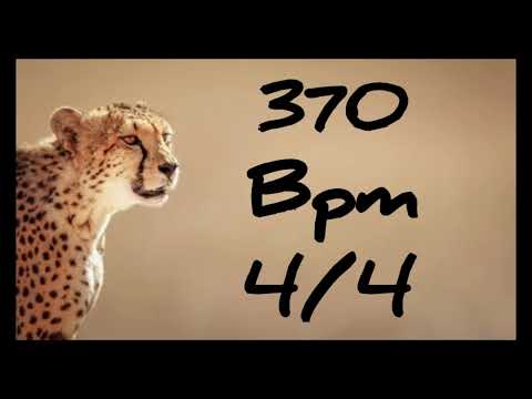 370 Bpm Metronome 4/4