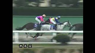 8戦7勝で臨んだ初重賞を勢いそのままに優勝　マルブツワールド