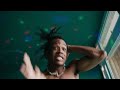 Cat Burns Go Goddard Remix Official Video
