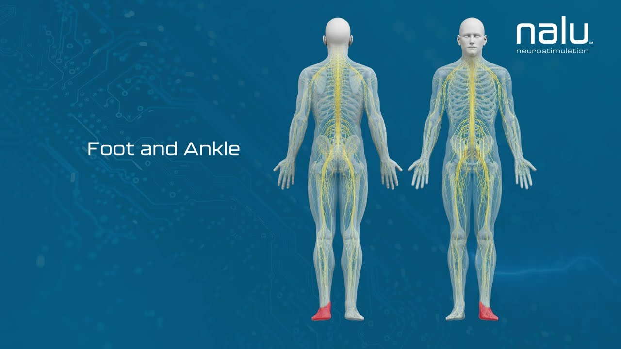 How PNS Works - Nalu Patient Animation