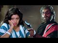 डेविड ने श्रीदेवी को डरा के रखा है Amitabh Bac