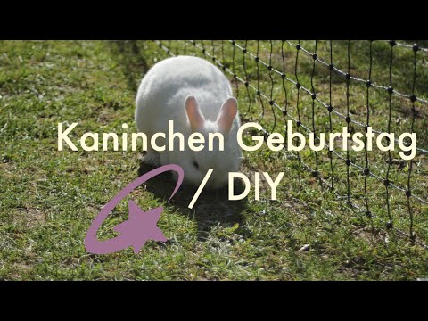 Geburtstag / DIY