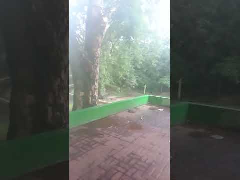 Bosque Encantador, Jiquilisco, Usulután