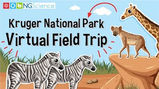 Kruger National Park – Virtual Field Trip