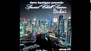 Special Chill Session 045 [DUBAI]