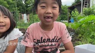初めての苗植え 長男長女お手伝い。　2021年7月3日　飛騨市をスローシティ へ　〜第1章 自宅をアグリツーリズム拠点にしたい。アウトドア音痴の挑戦〜