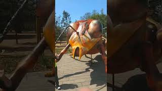 🐝Expo Insecta!🐝Cuidemos ALas Abejas☺️