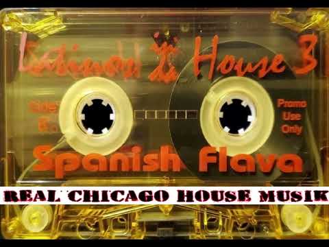 Latinos In The House Vol 3 Spanish Flava