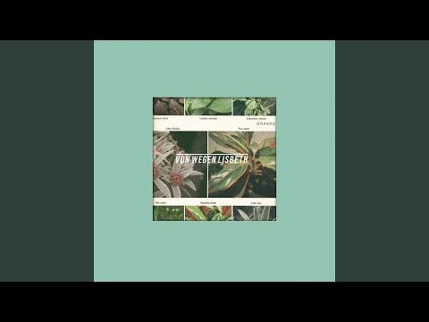 Bã¤rwaldpark - Von Wegen Lisbeth