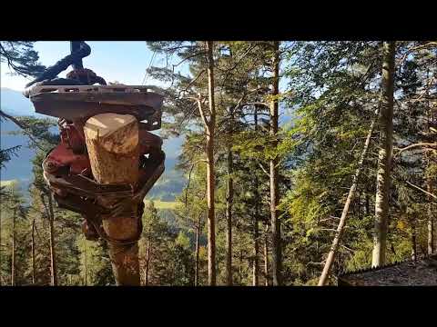 Timbernator TST 60H Harvesterggregat Harvesterkopf Harvester Head