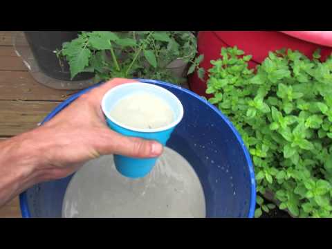 Tomato Blossom End-Rot: Emergency Treatment & Prevention with Lime - The Rusted Garden 2013