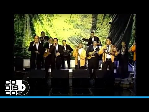 Vallenato Official Video