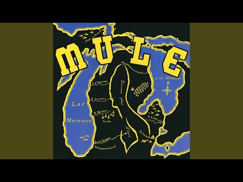 Mississippi Breaks - Mule