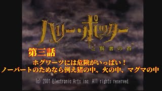 ホグワーツには危険がいっぱい！ノーバートのためなら例え、猪の中、火の中、マグマの中【ハリーポッターと賢者の石】