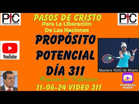 Propósito Potencial Día 311