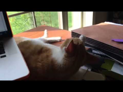 Noodles cleaning her face