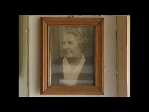 Artdelenisme - Eginald Schlattner