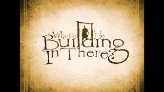 What's He Building In There? - FULL ALBUM (2007)