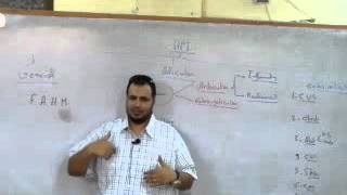 Internal Medicine - Dr Allam | Rhumatology | AllTebFamily.com